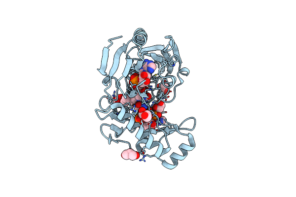 4JB1 image