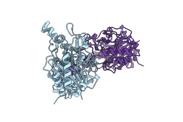 4JB6 image