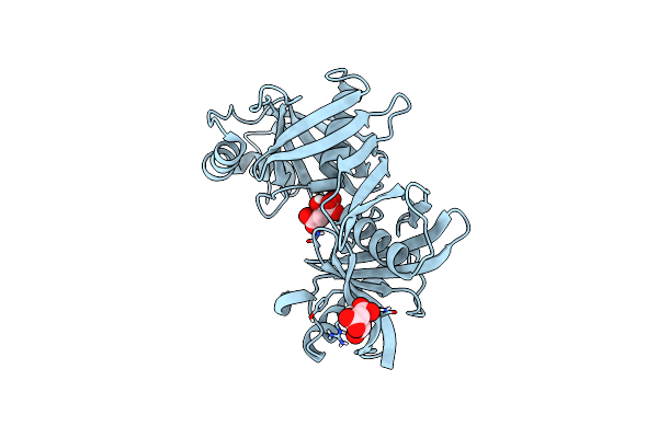 4JBD image