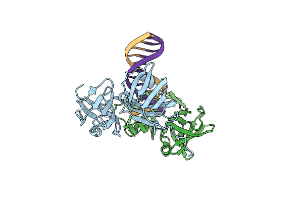 4JBM image
