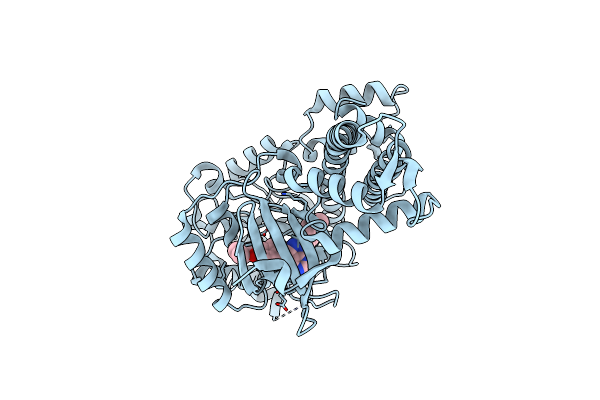 4JBV image