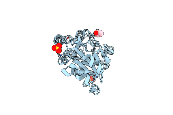 4JCC image