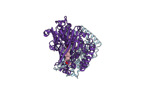 4JCH image