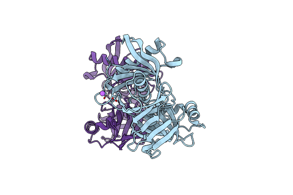 4JCI image