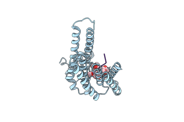 4JDD image