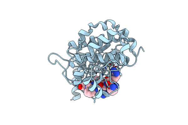 4JDK image