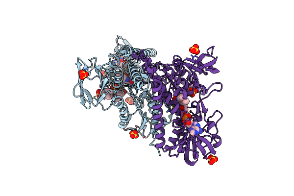 4JDR image