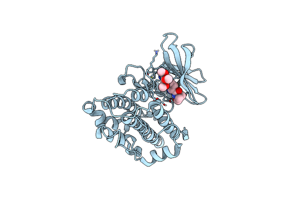 4JG8 image
