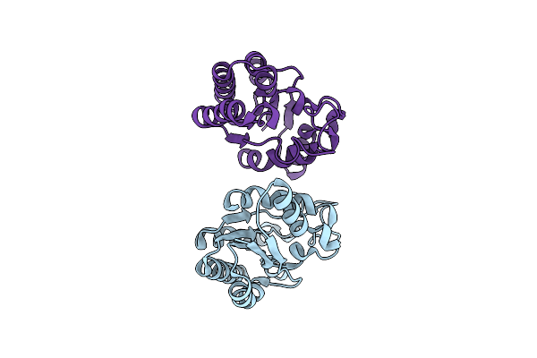4JGG image