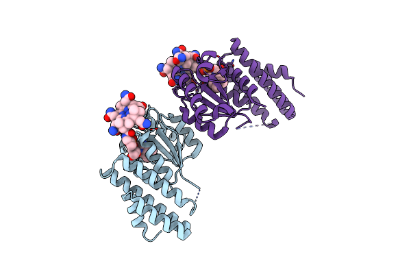 4JGI image