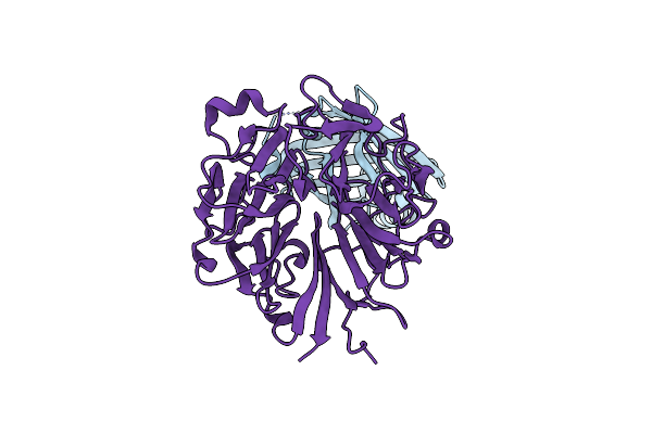 4JHP image