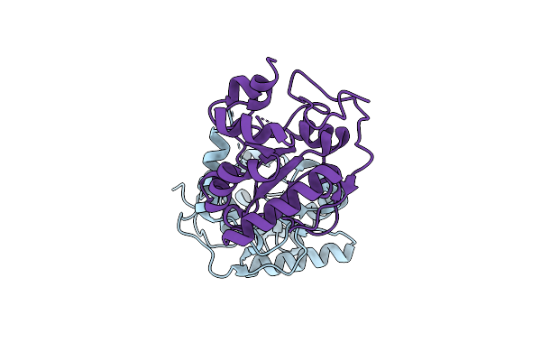 4JID image