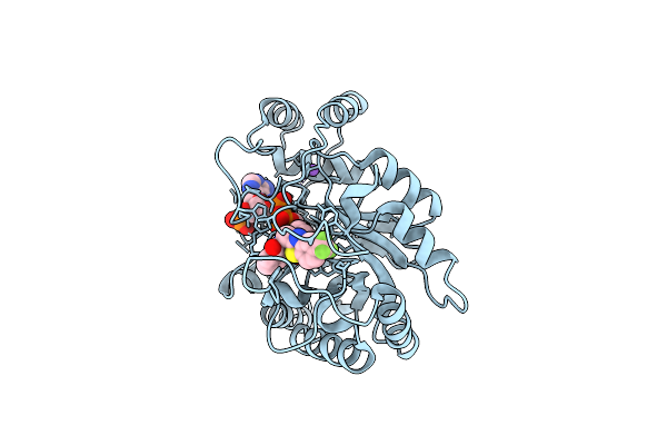 4JII image