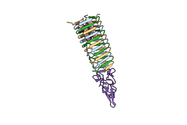 4JIV image