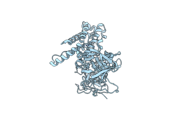 4JKQ image