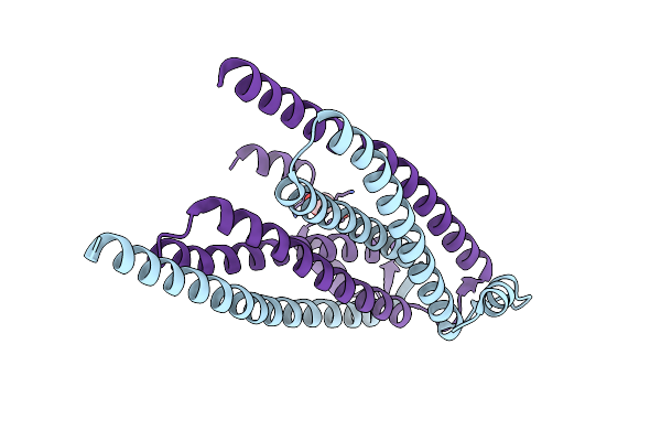 4JLE image