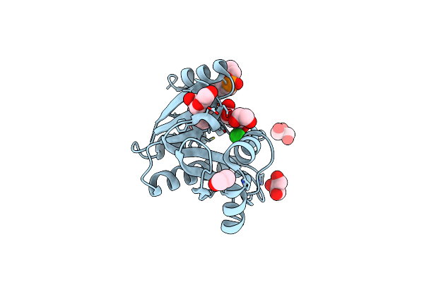 4JLL image