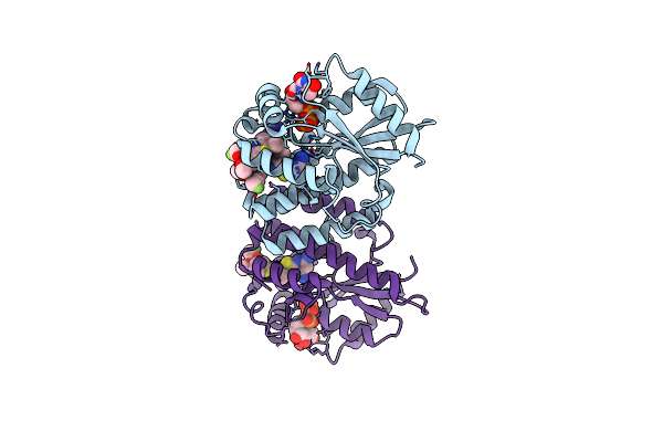 4JLM image