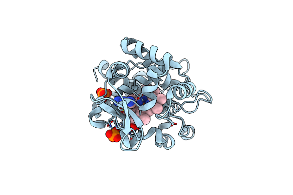 4JM6 image
