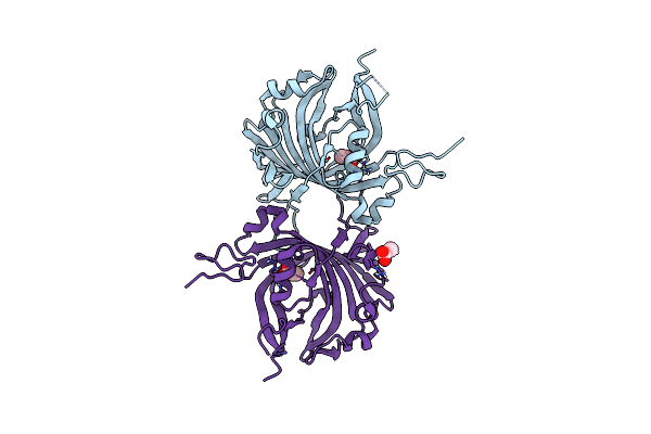 4JMC image