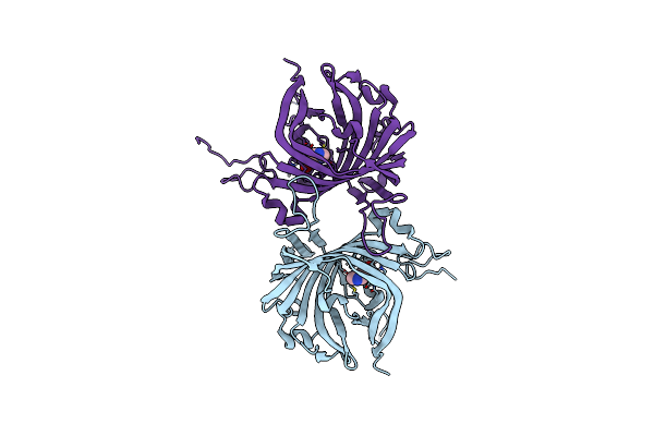 4JMD image