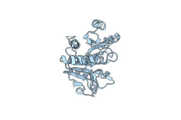 4JMP image