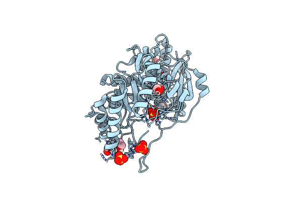4JN8 image