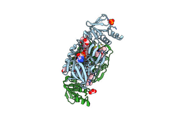 4JNA image