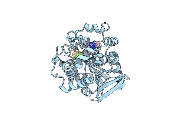 4JNC image