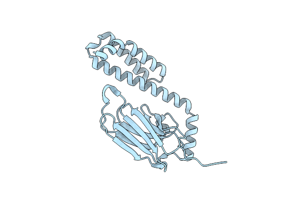 4JNF image