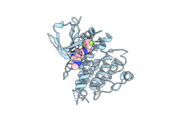4JOA image