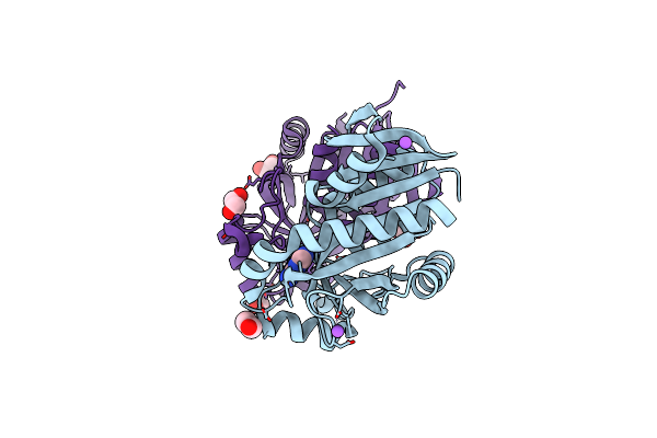 4JOS image