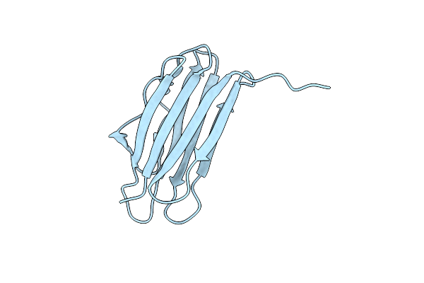 4JOX image