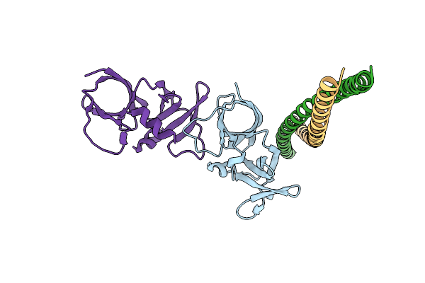 4JPB image