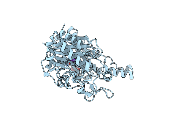 4JPF image
