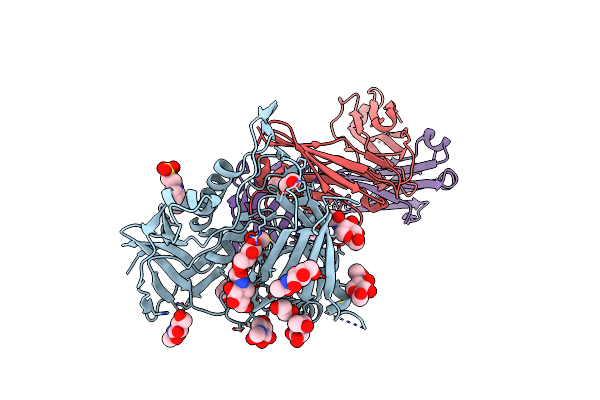 4JPV image