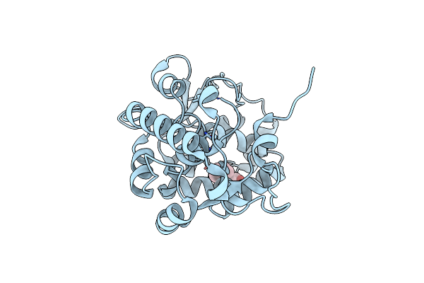 4JPX image