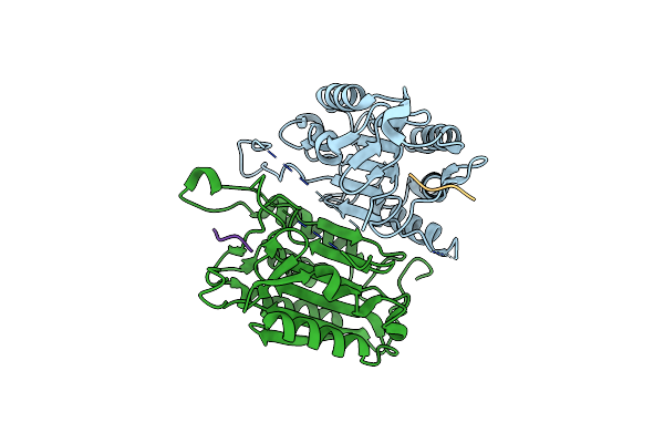 4JR1 image