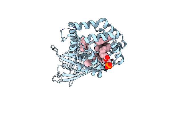 4JRB image