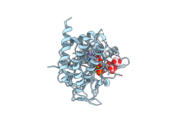 4JRN image