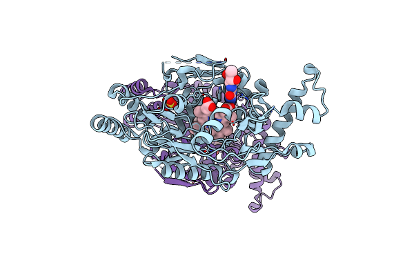 4JS9 image