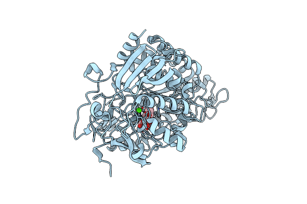 4JSD image
