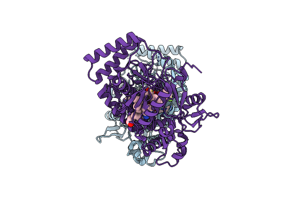 4JSI image