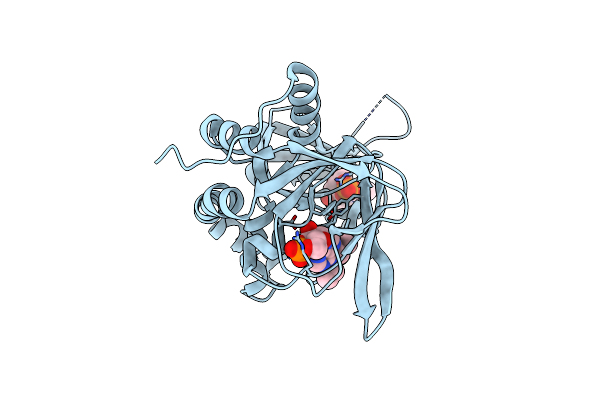 4JVA image