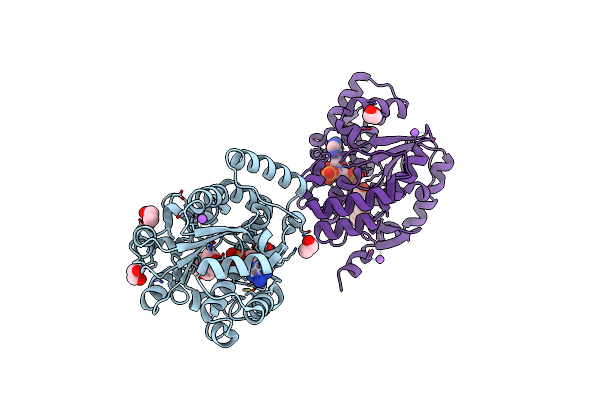 4JVL image