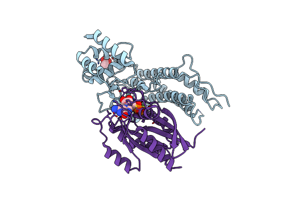 4JVS image