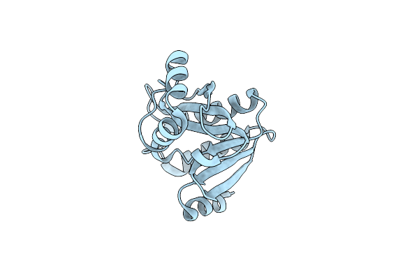 4JVV image