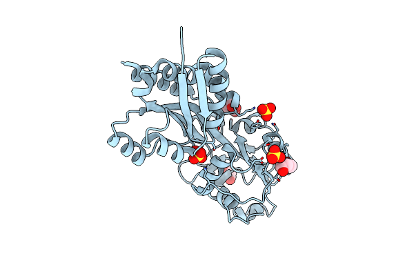 4JWO image
