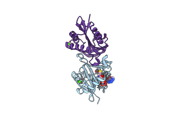 4JWP image