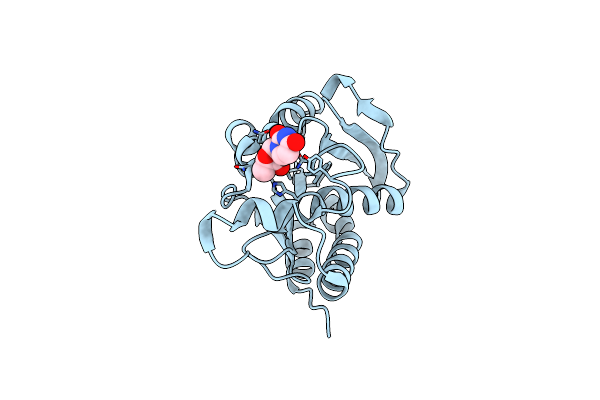 4JX9 image